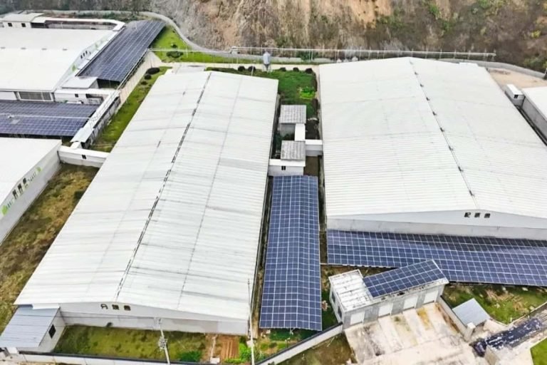 Factors Affecting the Service Life of PV Inverters – Advantages of Energy Storage Systems in Cooperation with Growatt