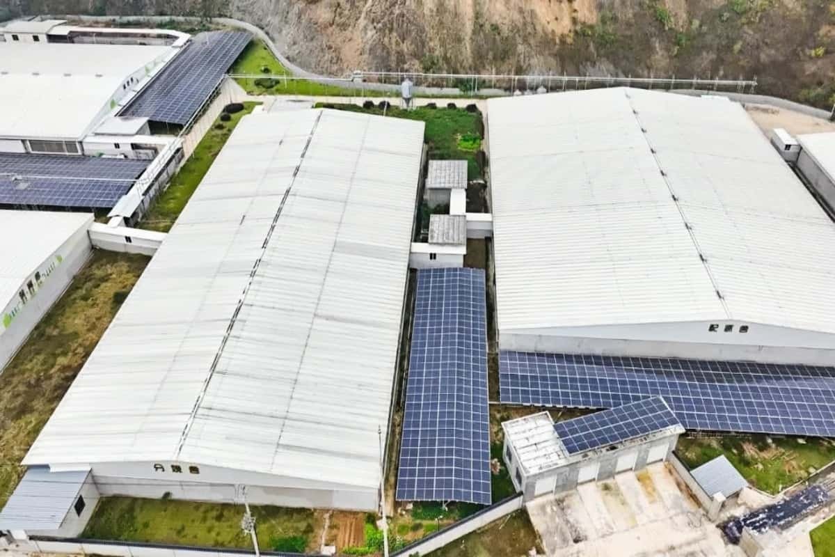 Factors Affecting the Service Life of PV Inverters – Advantages of Energy Storage Systems in Cooperation with Growatt